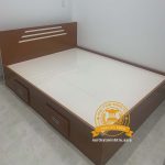 Giuong nhua Dai Loan da dang kich thuoc MT 012032 (1)