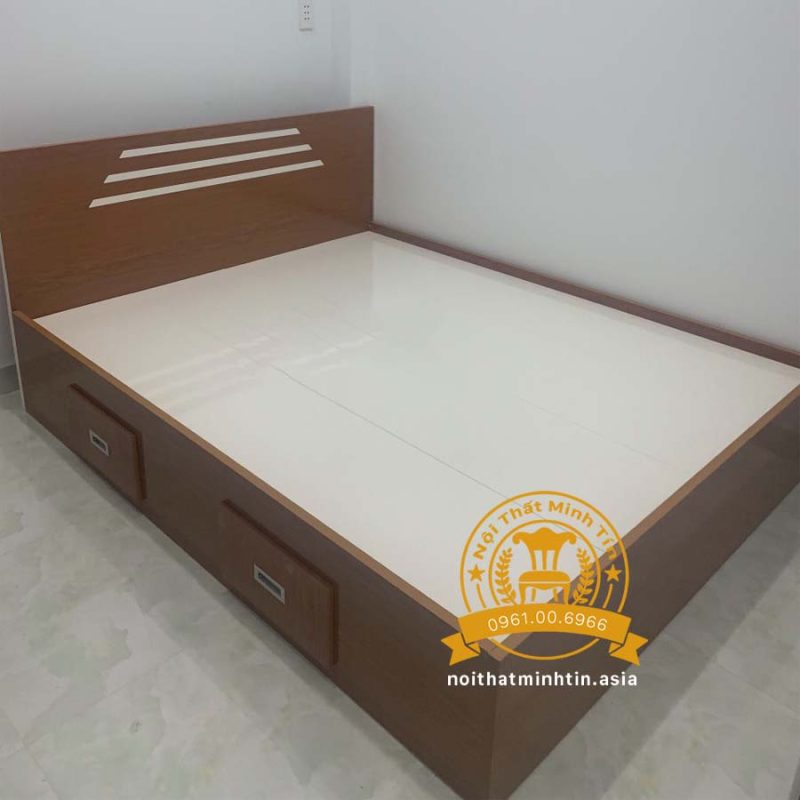 Giuong nhua Dai Loan da dang kich thuoc MT 012032 (1)